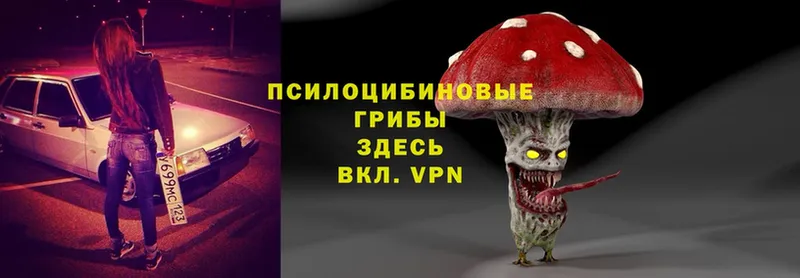 Галлюциногенные грибы MAGIC MUSHROOMS  Жигулёвск 